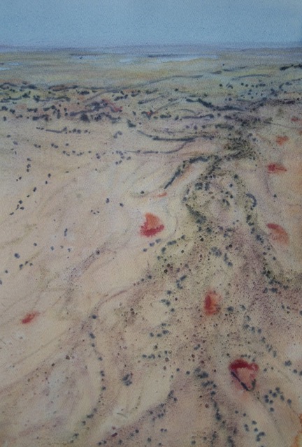 Lake Eyre Inland River #1 - Louise Foletta